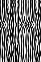 Canga Canga Zebrado