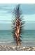 Bikini Maxi Flower Tqc Feather Star