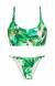 Biquini verde folha Folhagem La�o